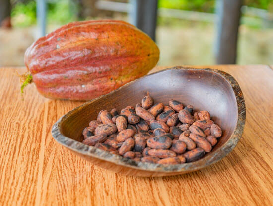 Buena Vista Costa Rica Tour