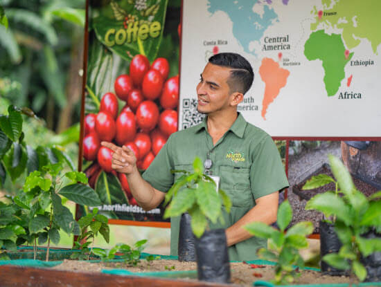 Buena Vista Costa Rica Tour