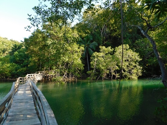 Buena Vista Costa Rica Tour